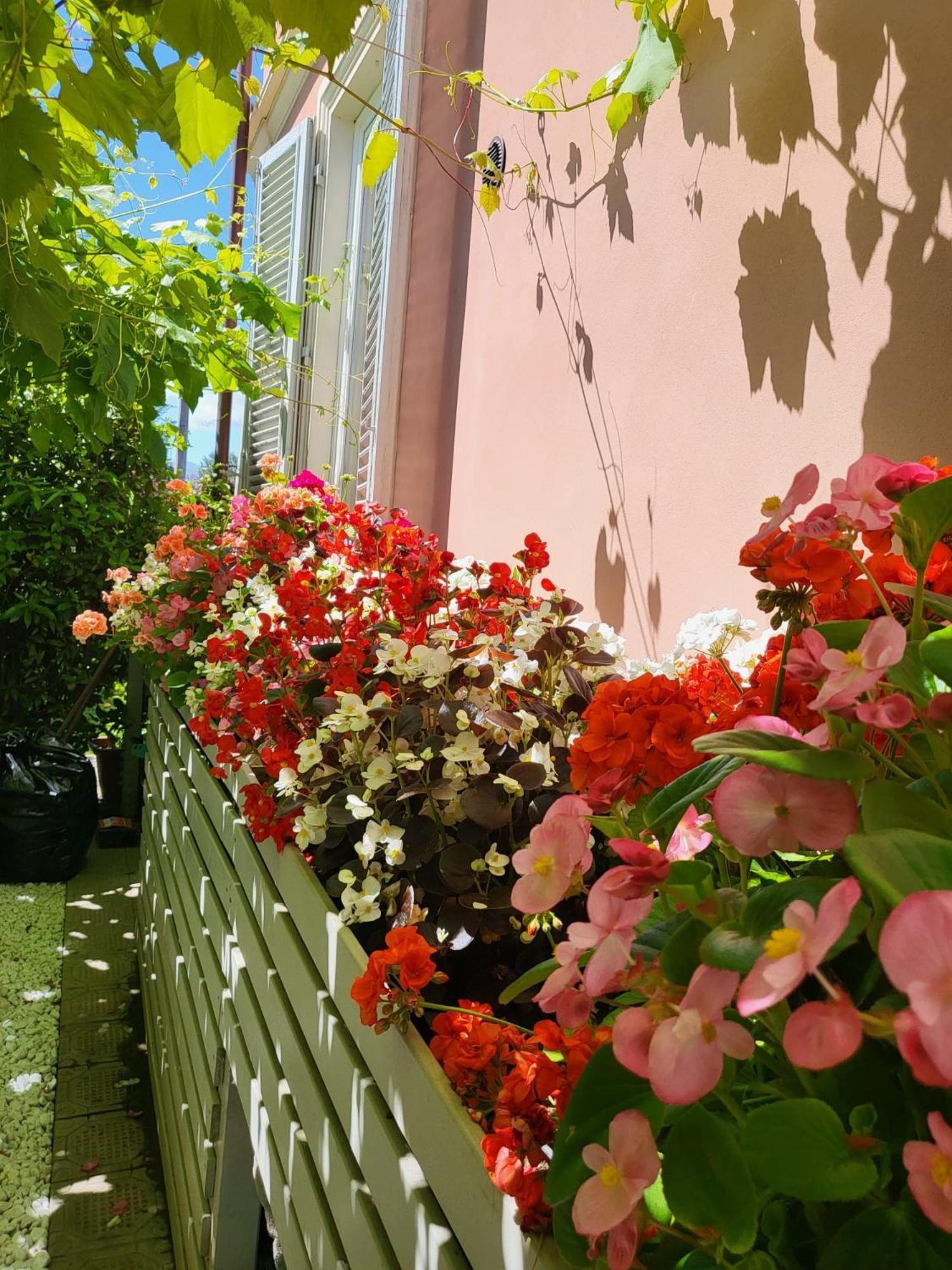 Il Buen Retiro Hotel Lucca Exterior foto