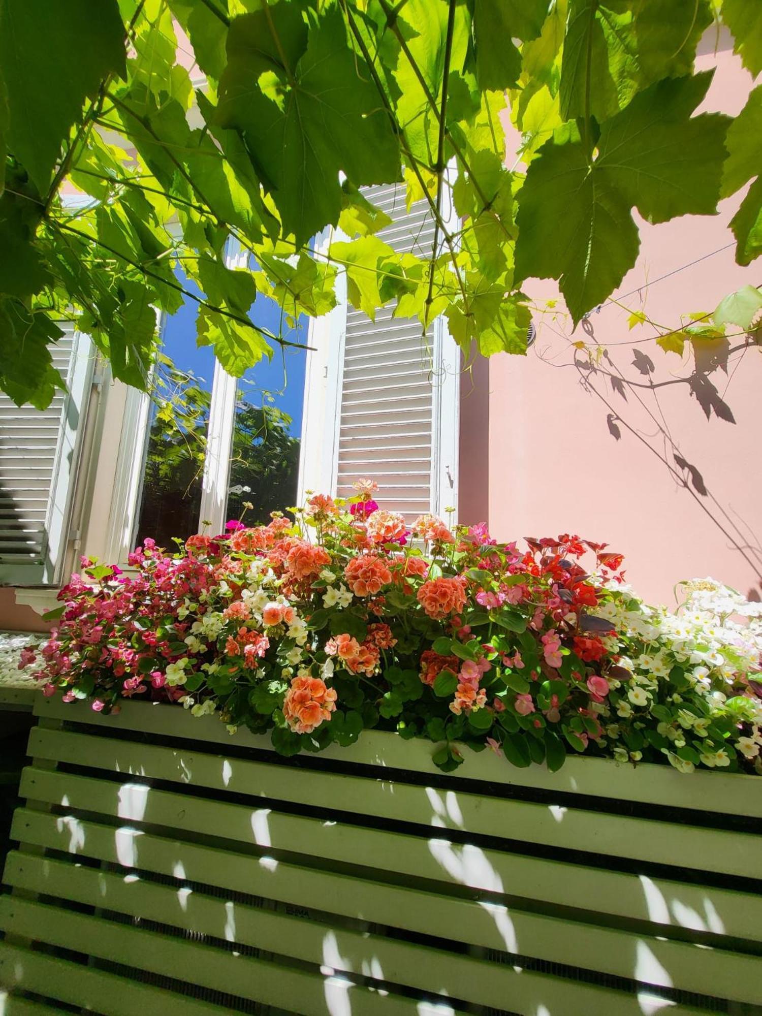 Il Buen Retiro Hotel Lucca Exterior foto