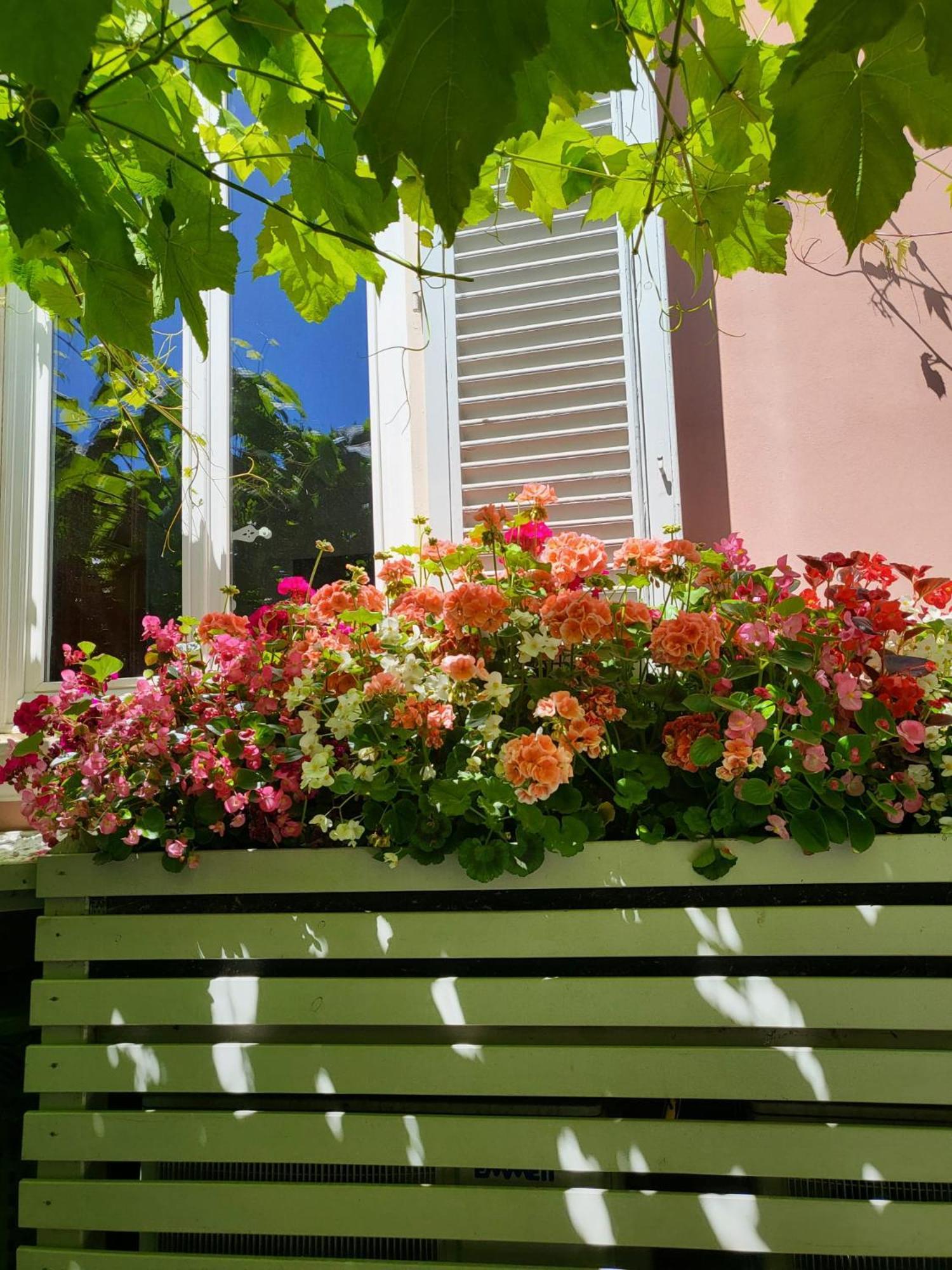 Il Buen Retiro Hotel Lucca Exterior foto