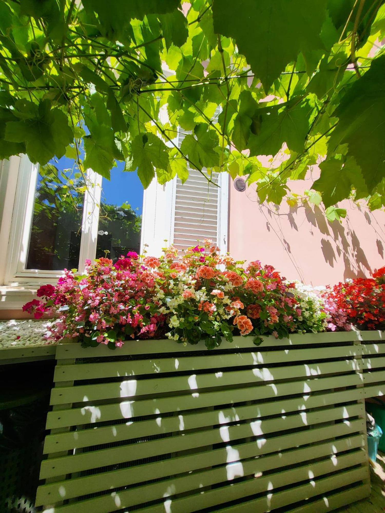 Il Buen Retiro Hotel Lucca Exterior foto