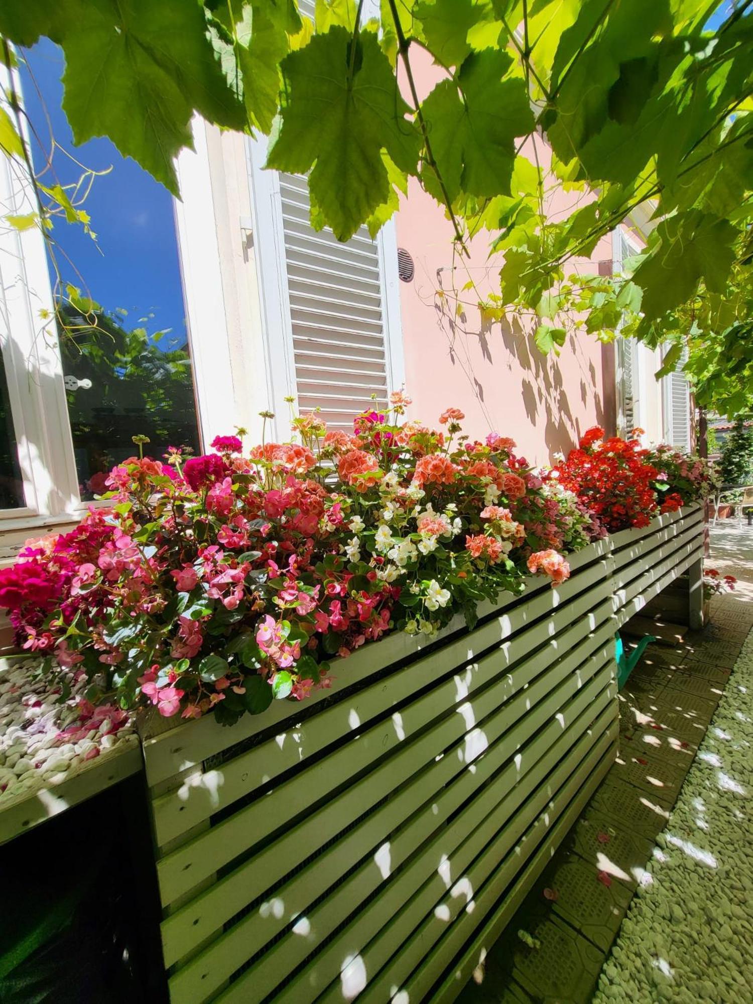 Il Buen Retiro Hotel Lucca Exterior foto