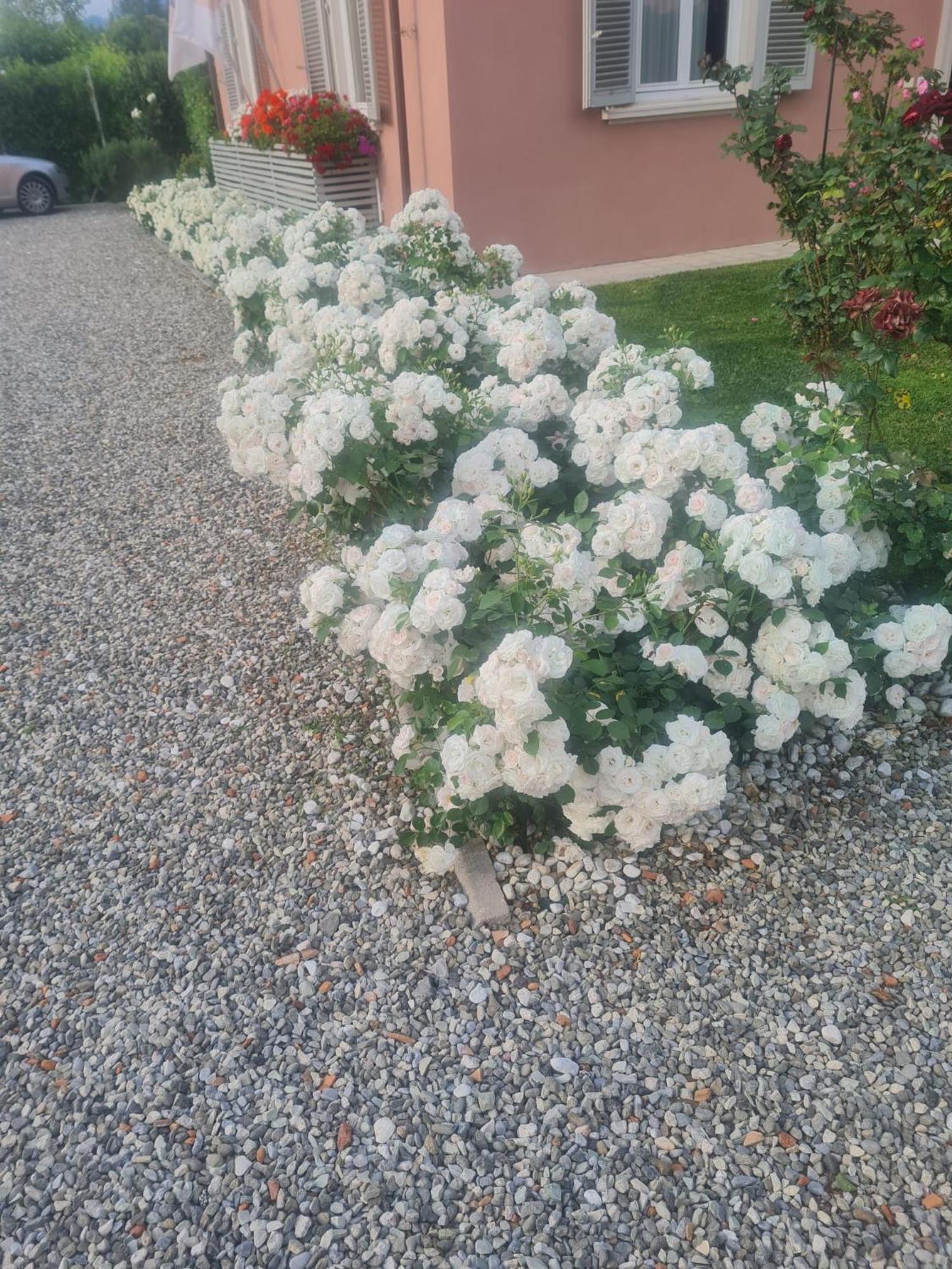 Il Buen Retiro Hotel Lucca Exterior foto